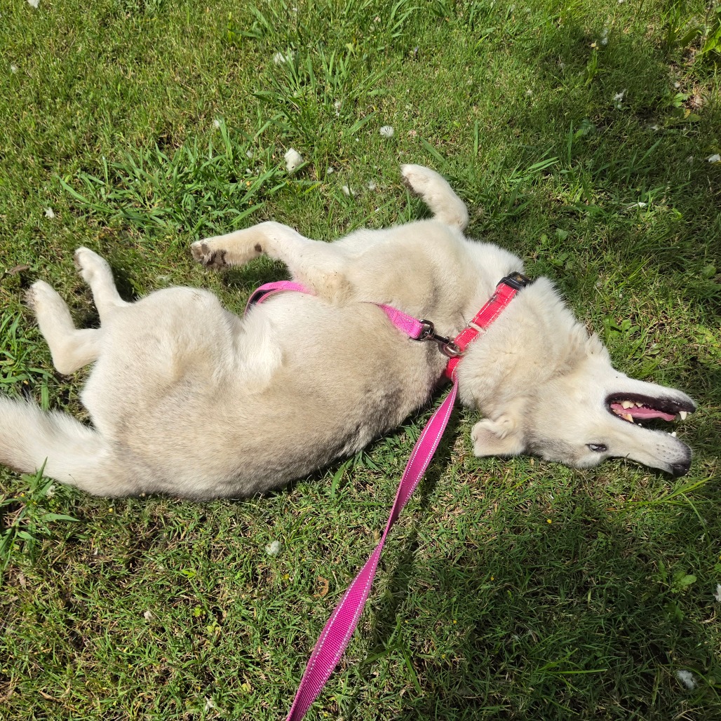 Casper photo 23