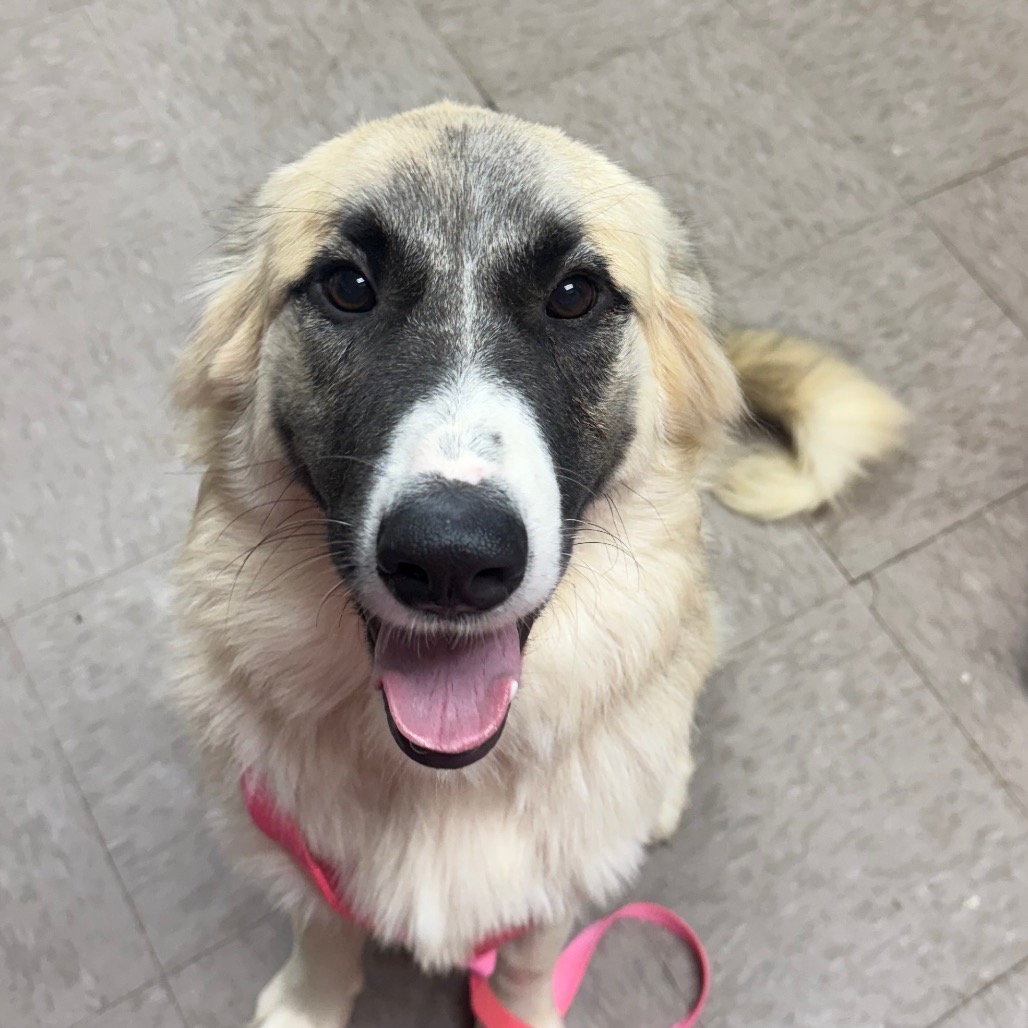 Delilah Mae