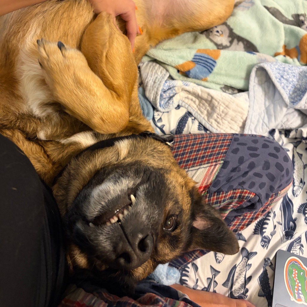 Milo, photo 12
