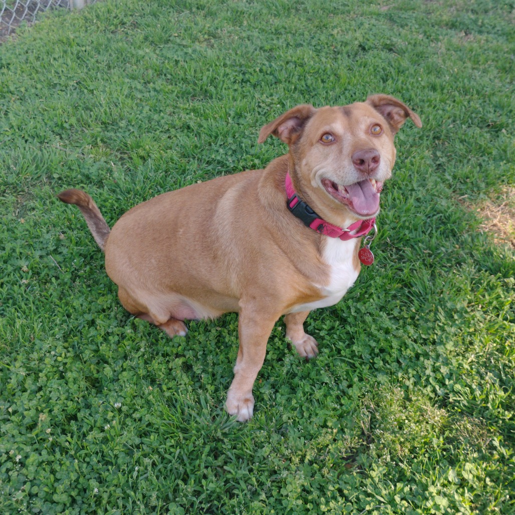 Max photo 4