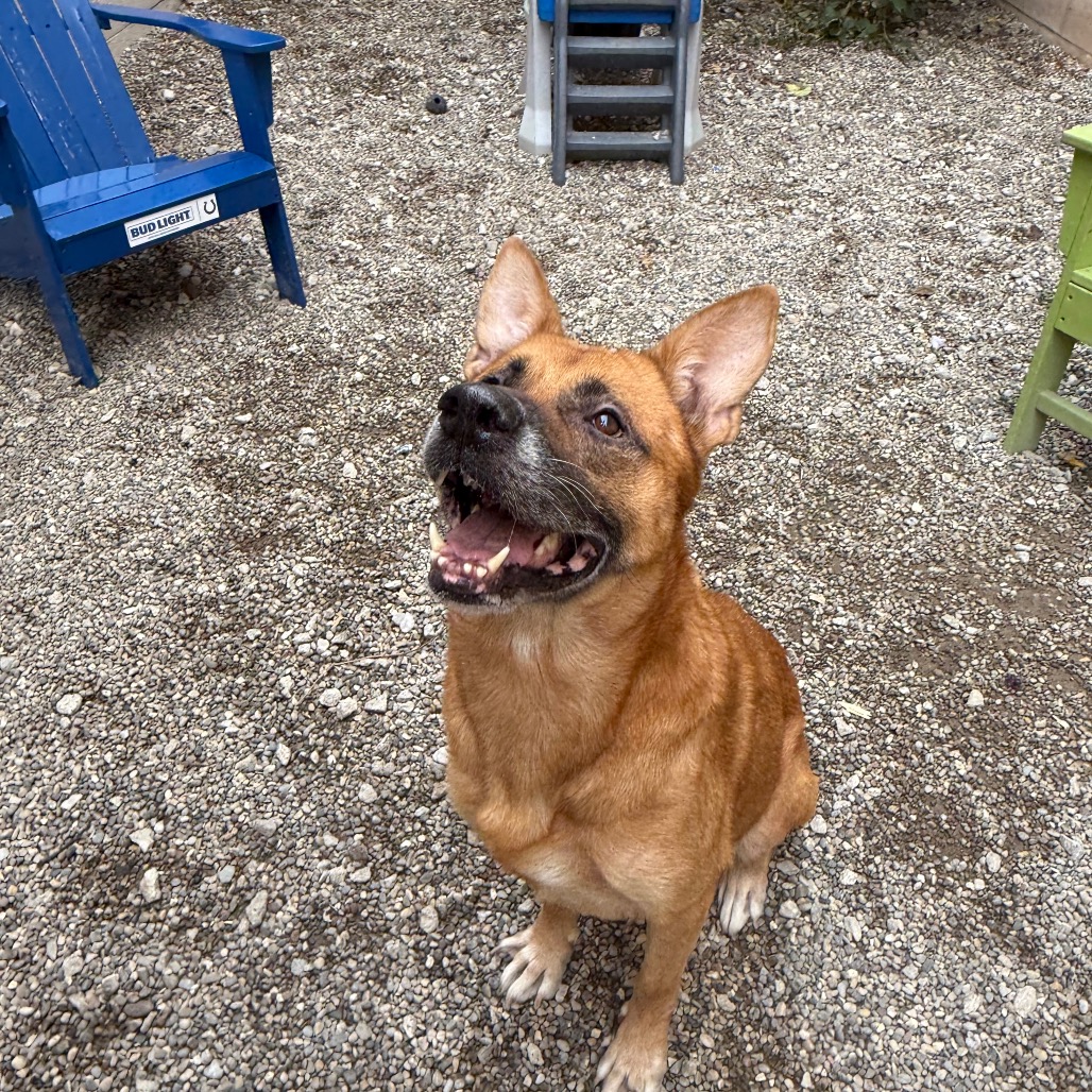 Honey-Foster — thumbnail 3