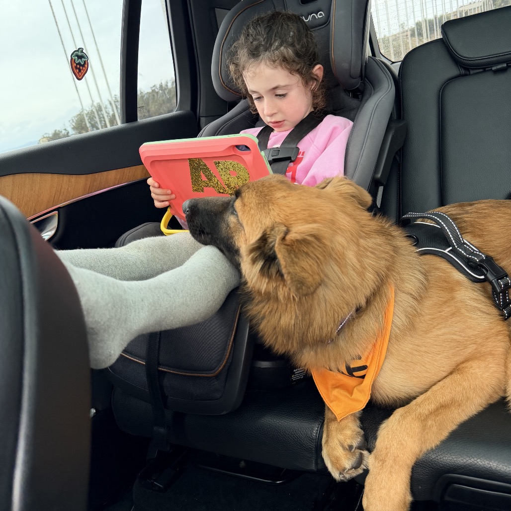 Lightning — thumbnail 3