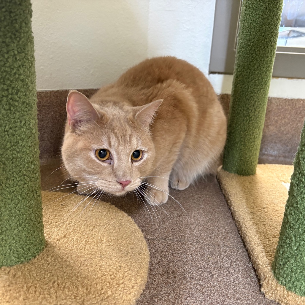 Zeus — thumbnail 5