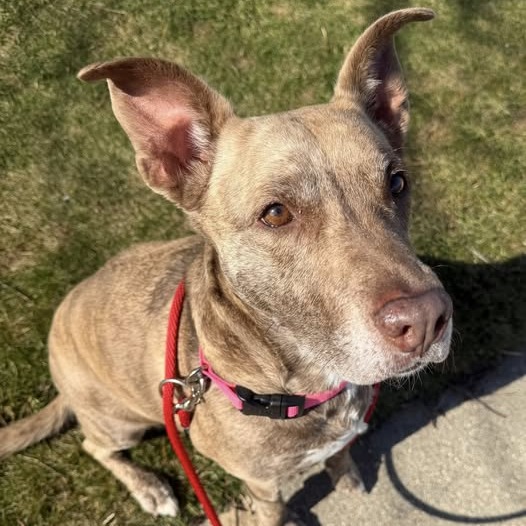 Dixie Loo, photo 12