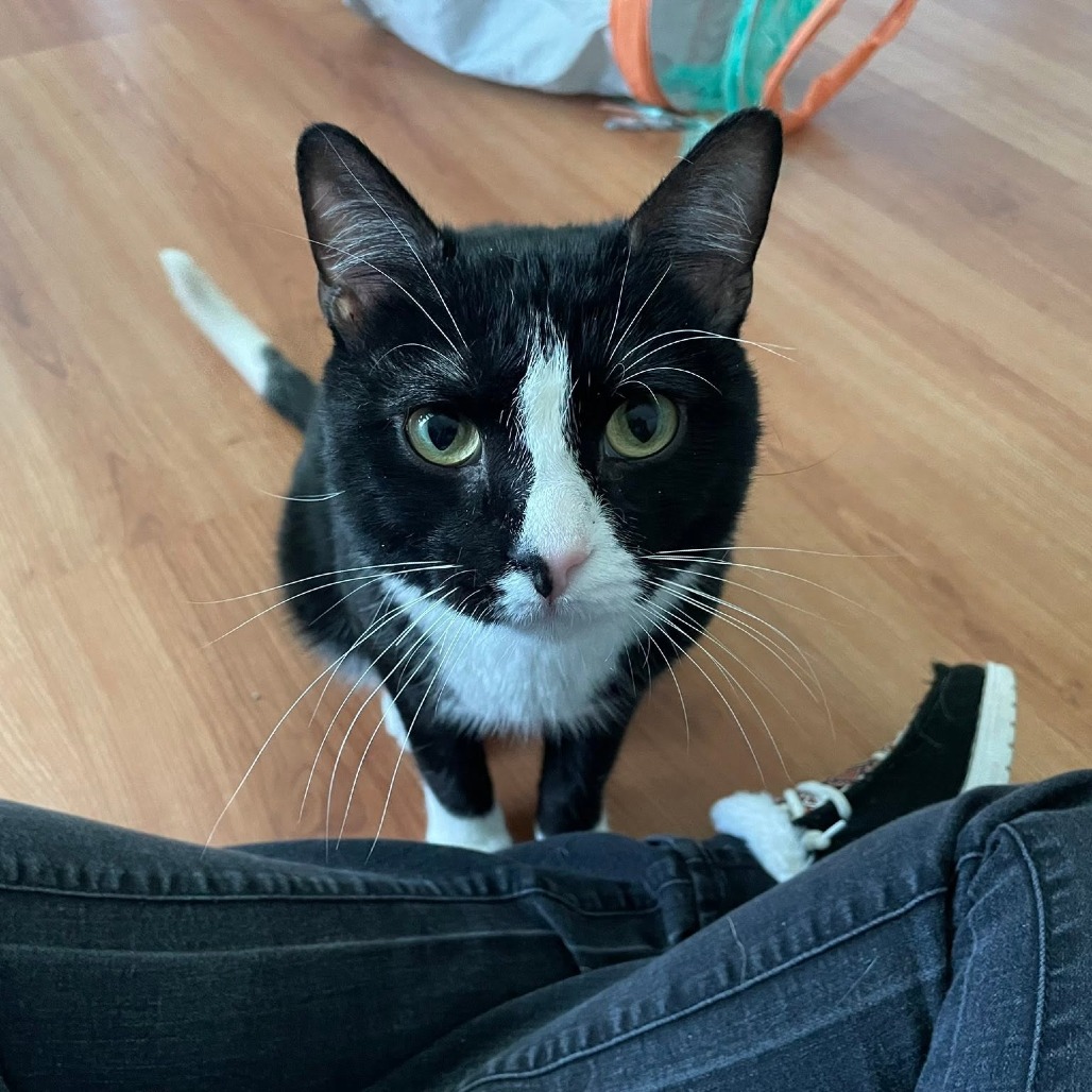 Murphy