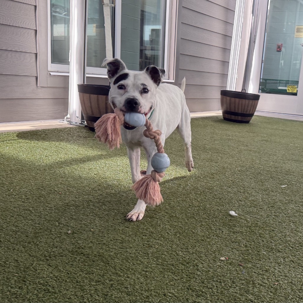Mia, photo 21