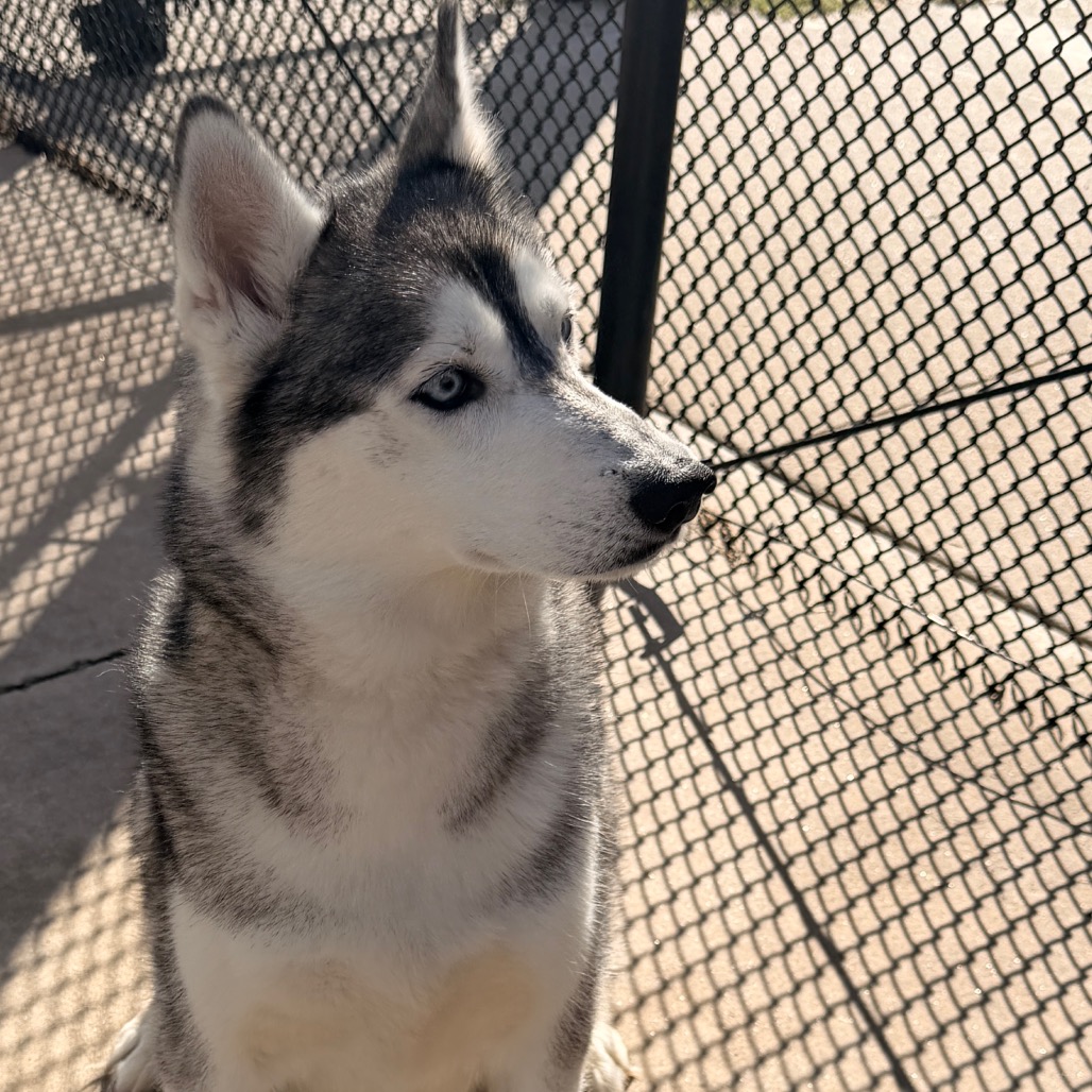 Maya, photo 5