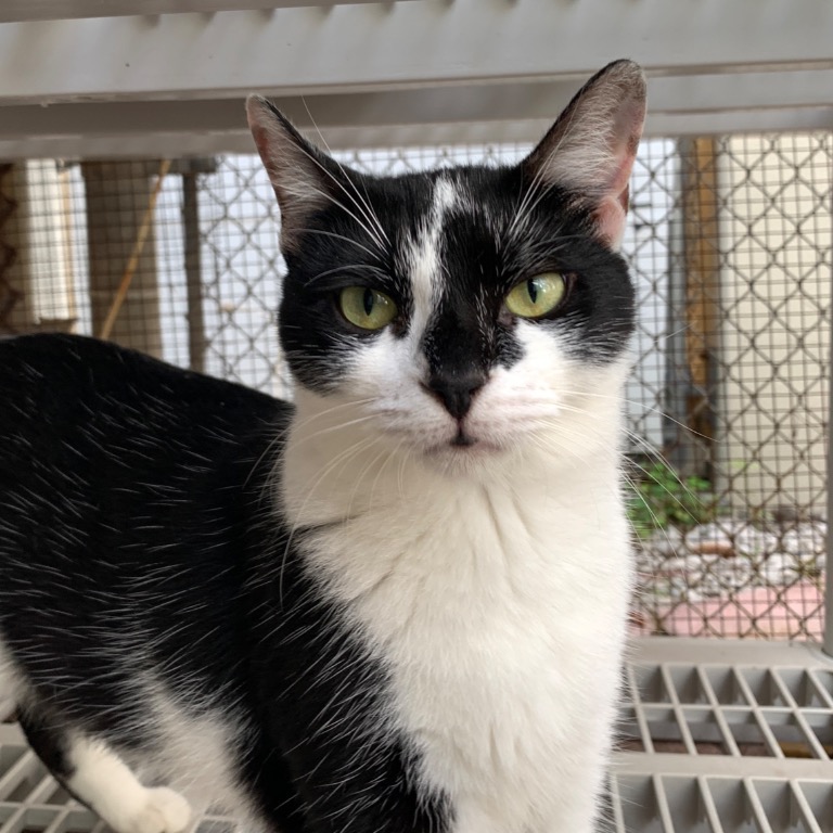 Close-up photo of Clause