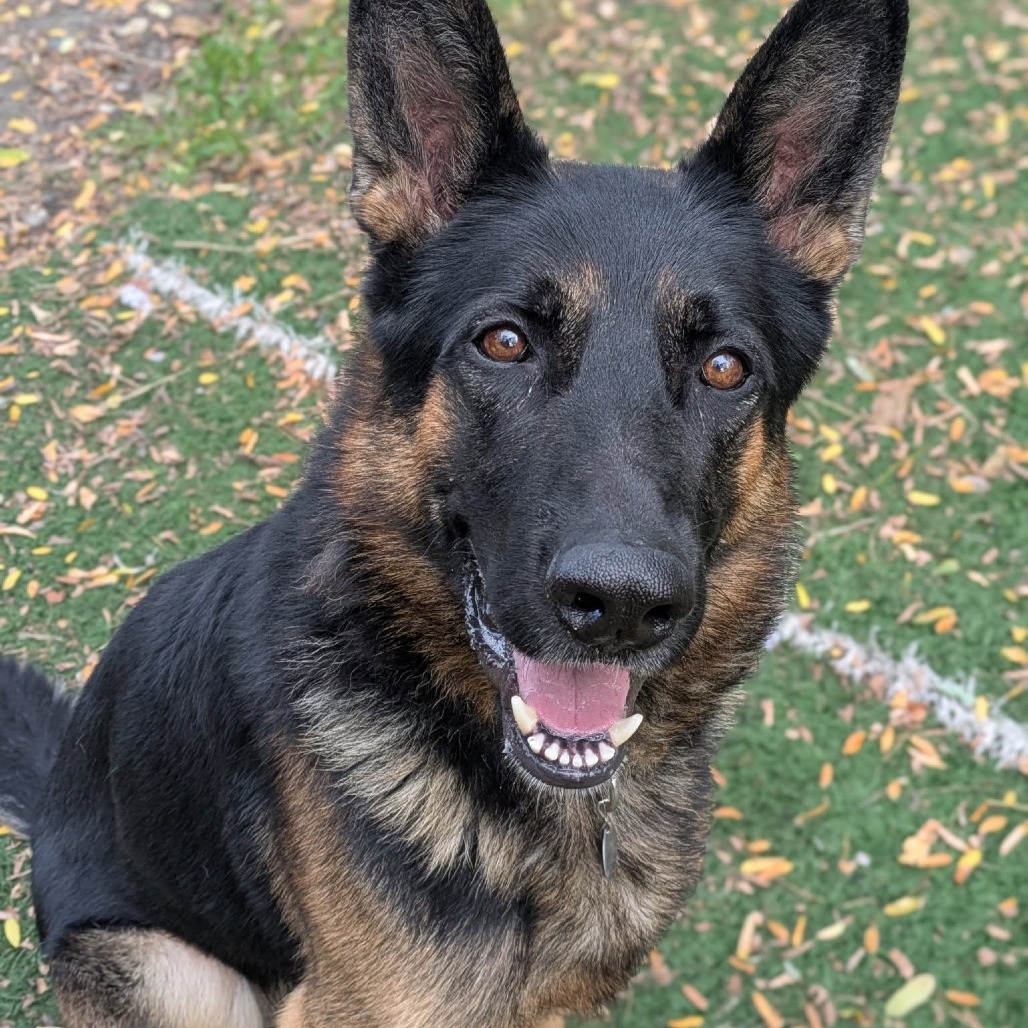 Sergei — thumbnail 2