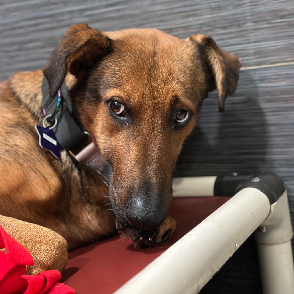 Regina — thumbnail 3