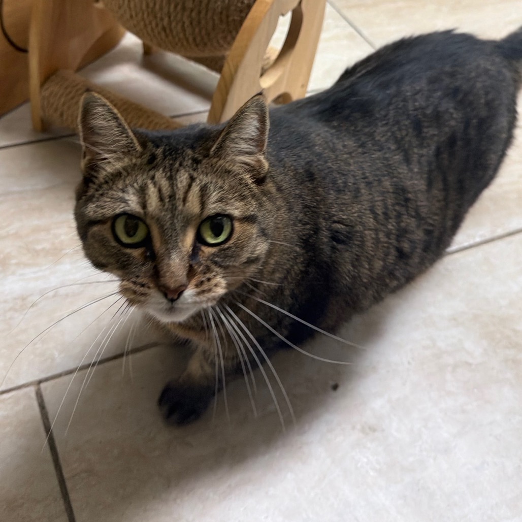 Penelope, photo 12
