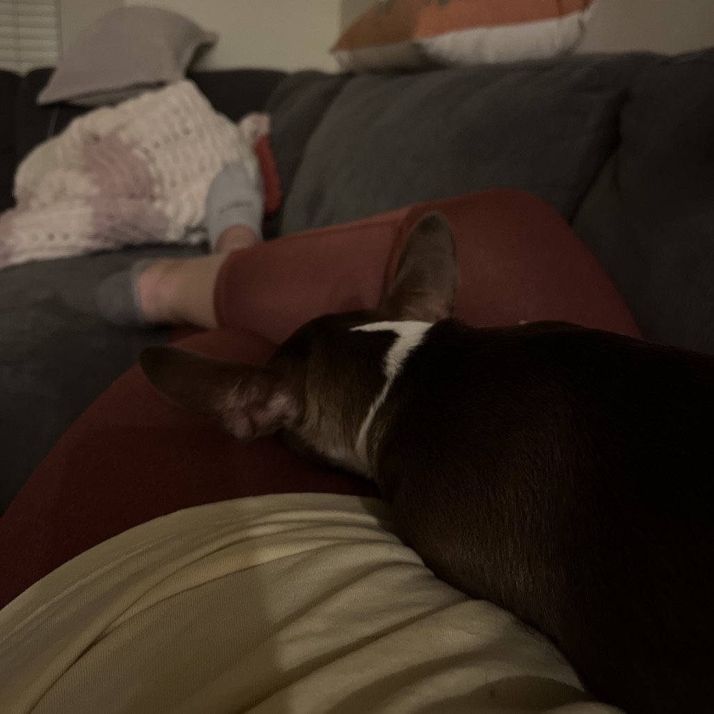 Pablo, photo 4