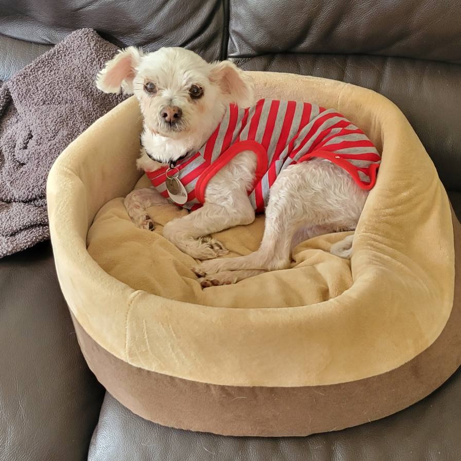Chalupa, photo 8