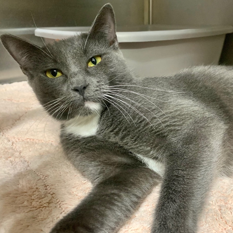 Full body shot of Jiggly Caliente