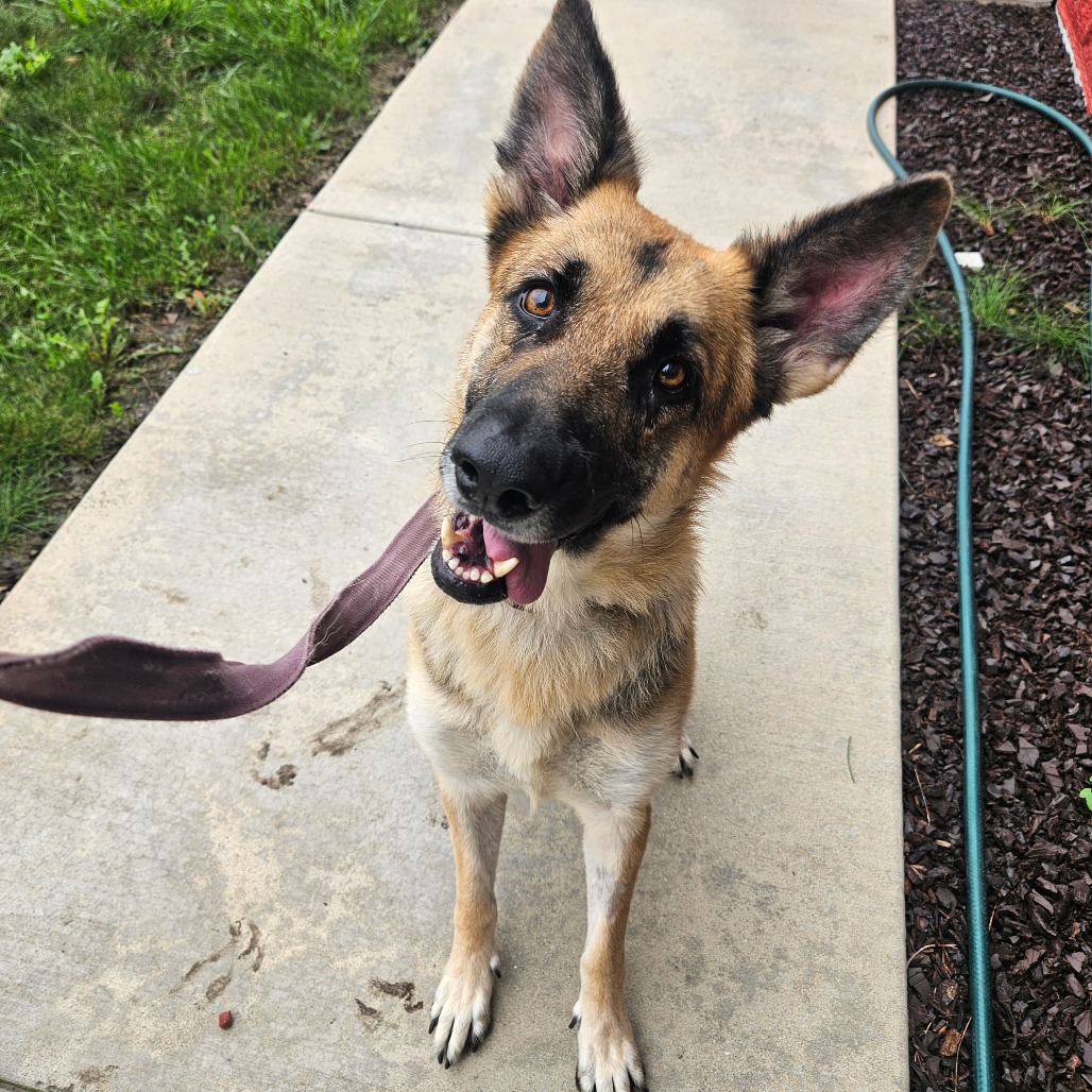 Roxie, photo 3