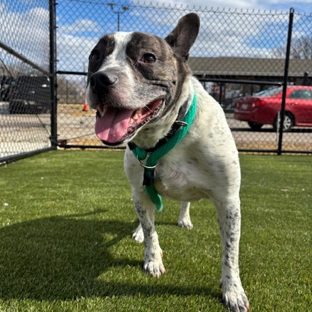 Curious — thumbnail 3