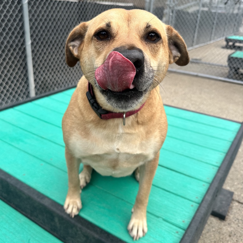 S'more — thumbnail 4