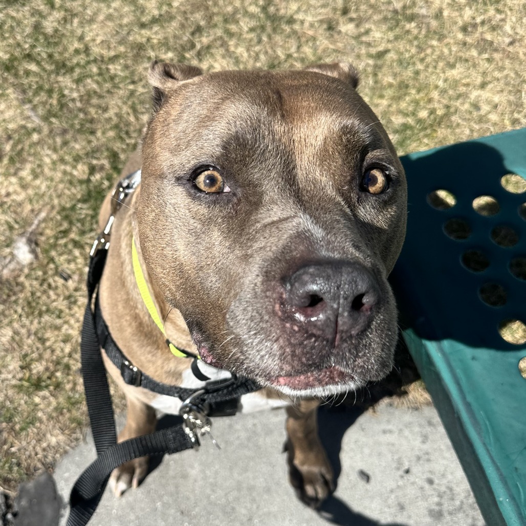 Lulu — thumbnail 4