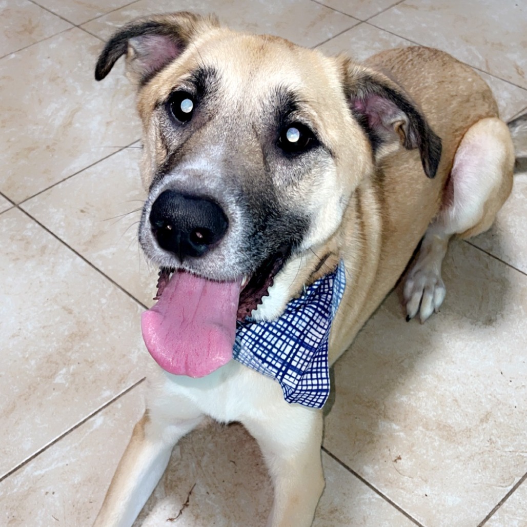 Zeke, photo 2