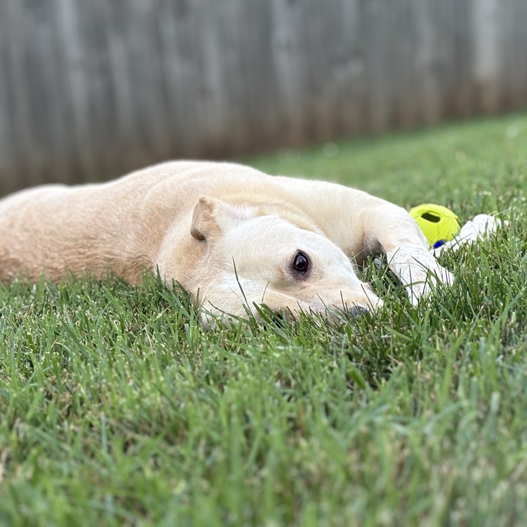 Butter, photo 25