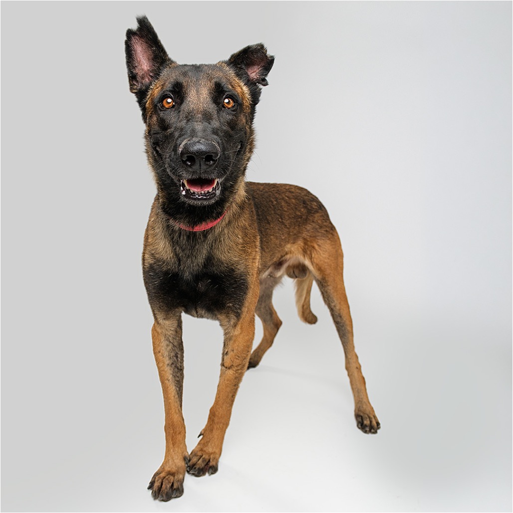 Max