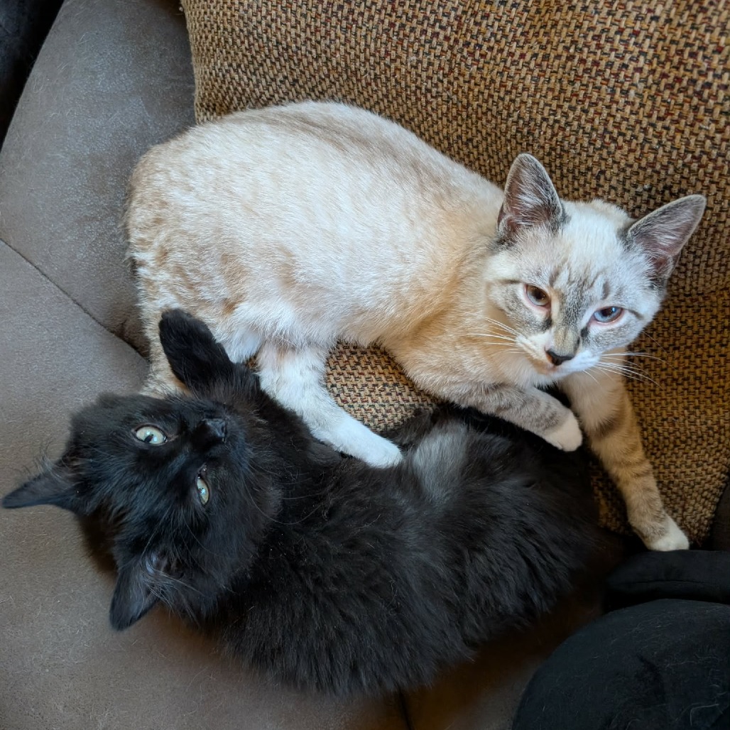 Krampus — thumbnail 3