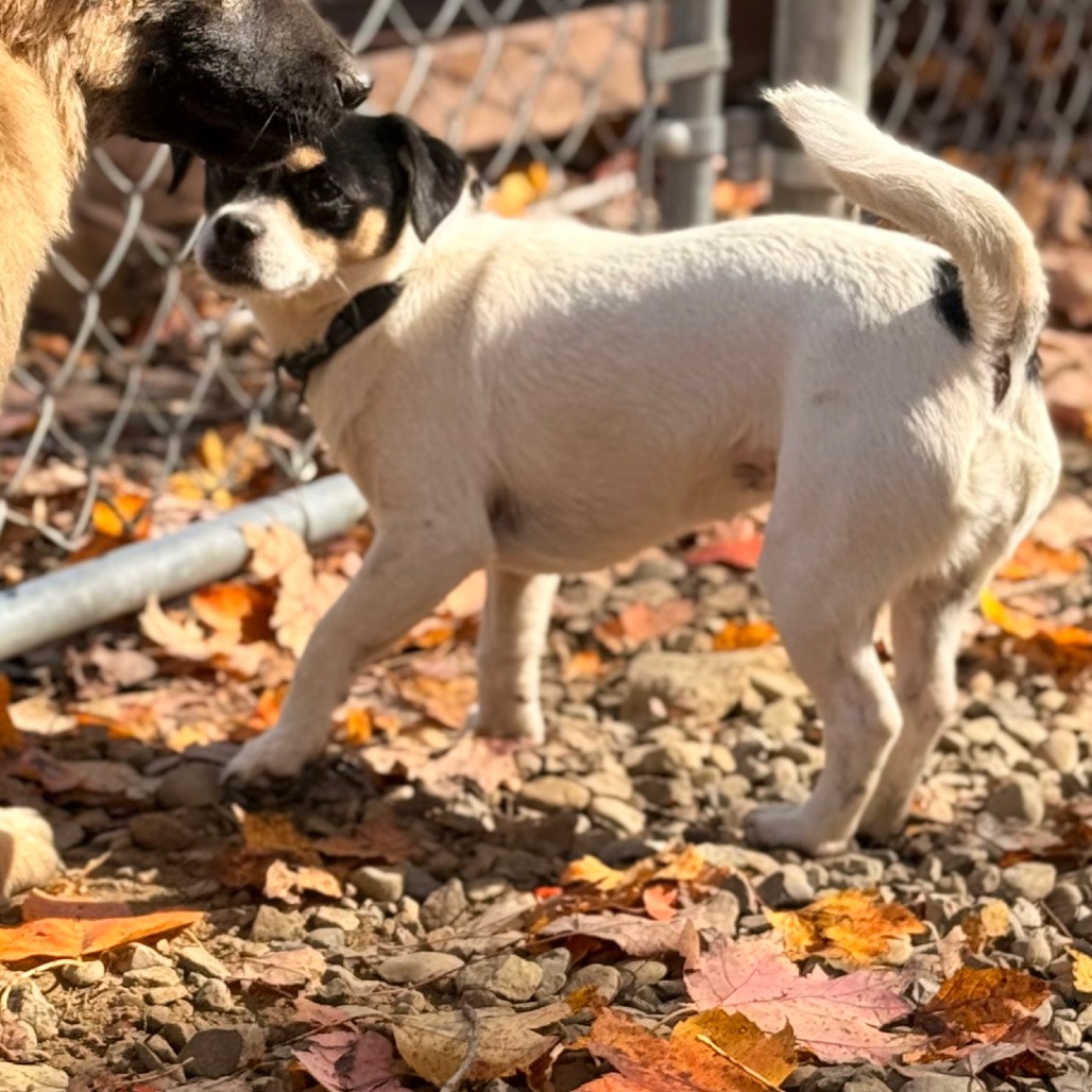 MYA, photo 15