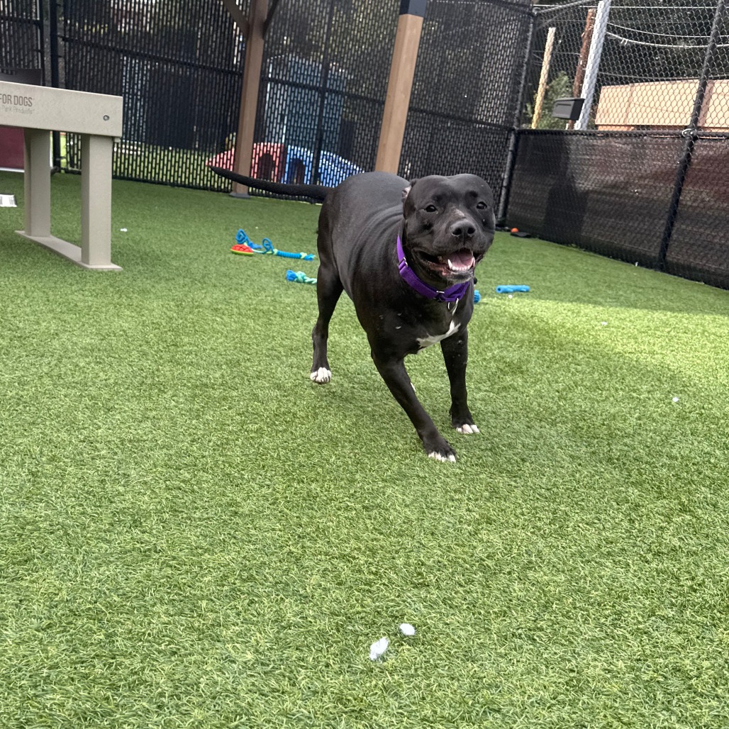 Photo of Zoey 7