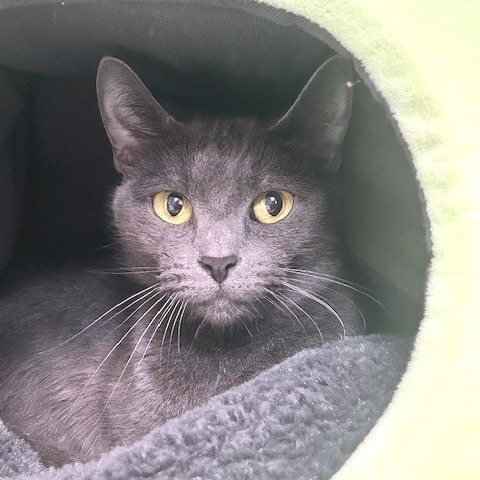 A#16 Missy's preview photo