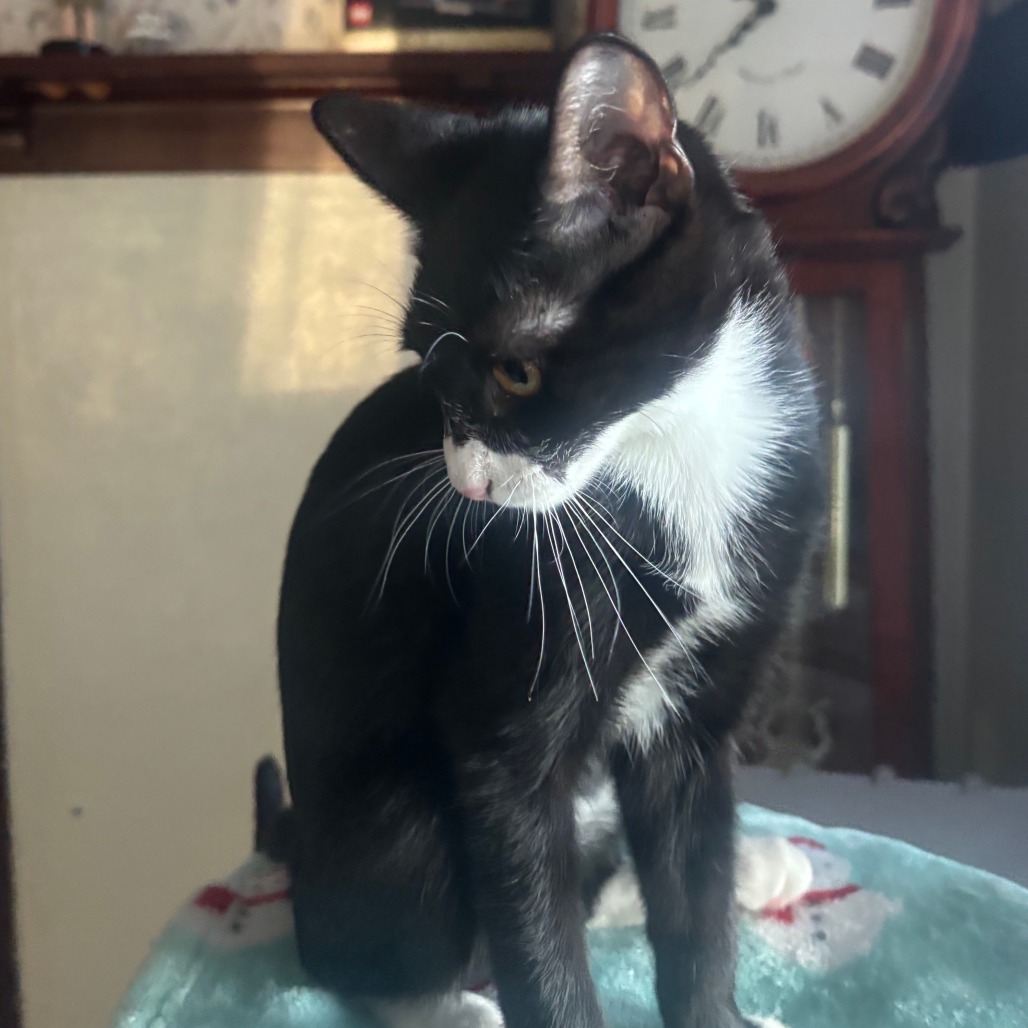 Lillian, photo 10