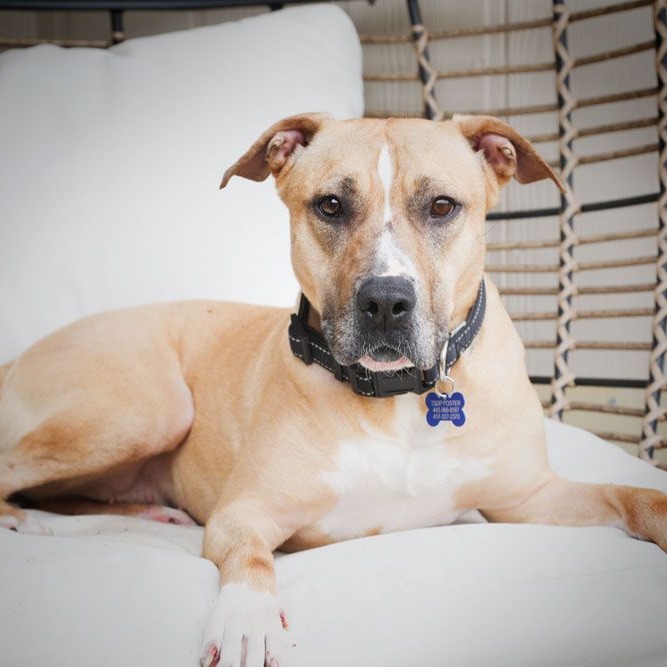 Ruthie, photo 5