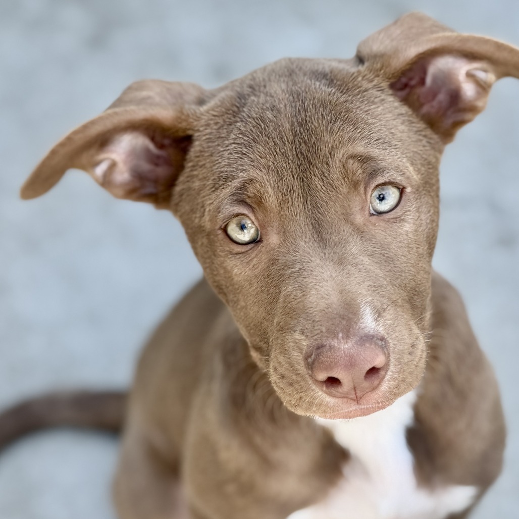 Glitter Sprinkles — thumbnail 3