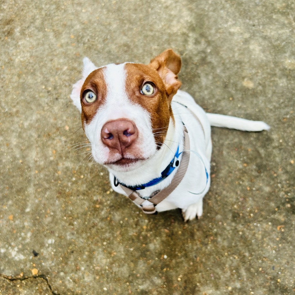 Creed — thumbnail 10