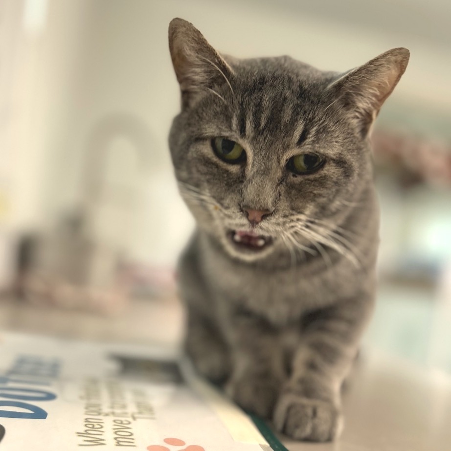 John Mayer — thumbnail 3