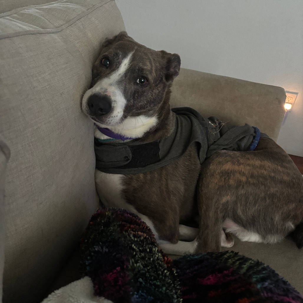 Colby photo