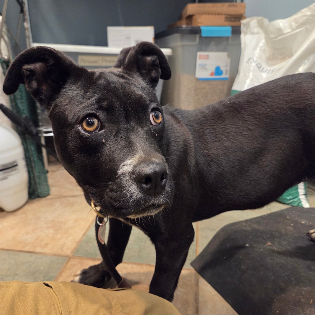 Golf — thumbnail 2