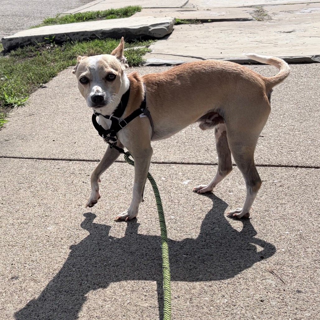 Photo of Baguette 5