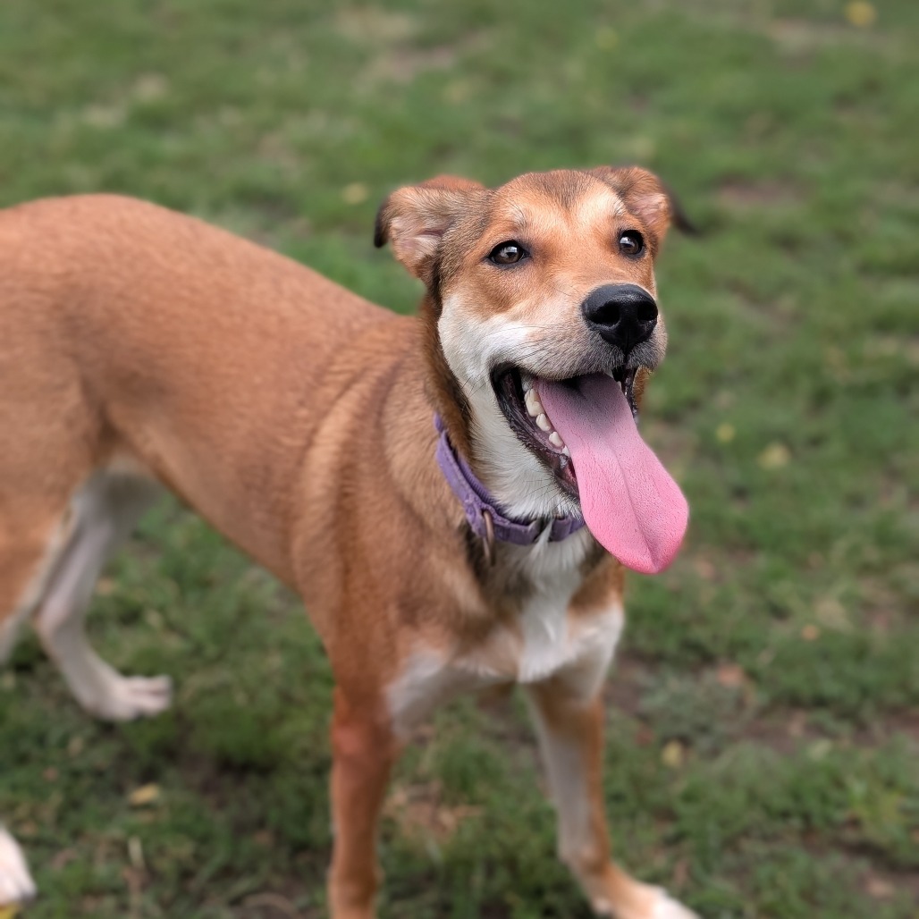 Cooper photo 11