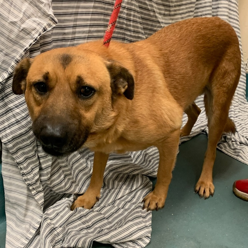 Sponge Bob — thumbnail 2