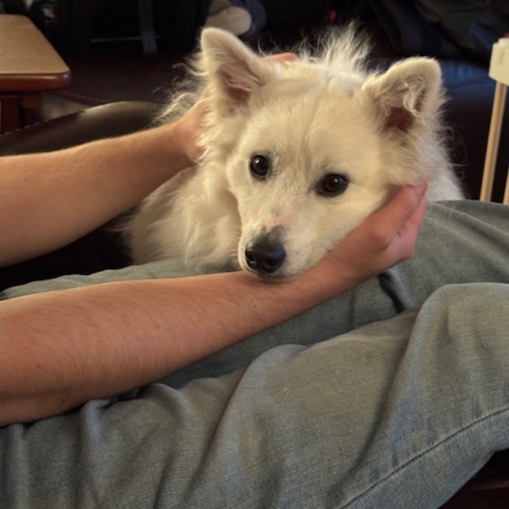 Kumo, photo 4 of 9