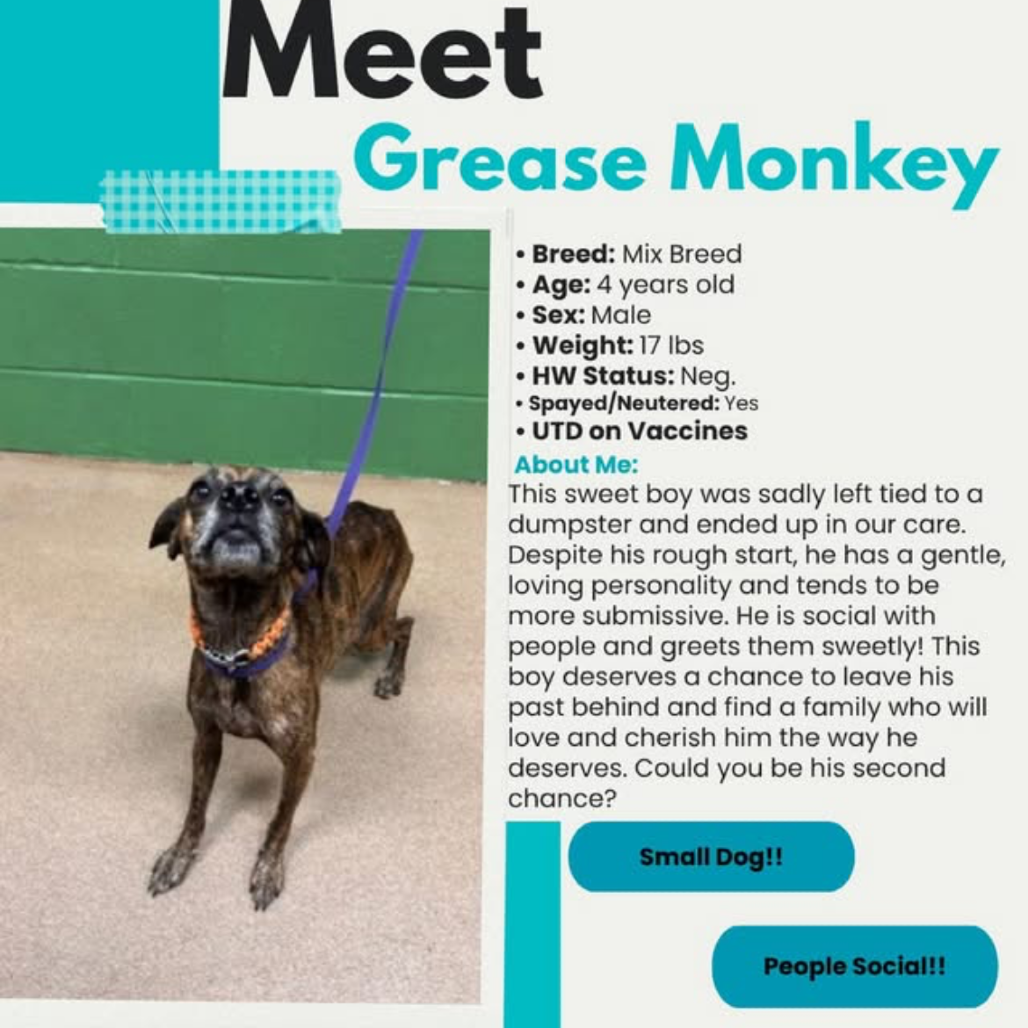 Grease Monkey, photo 2