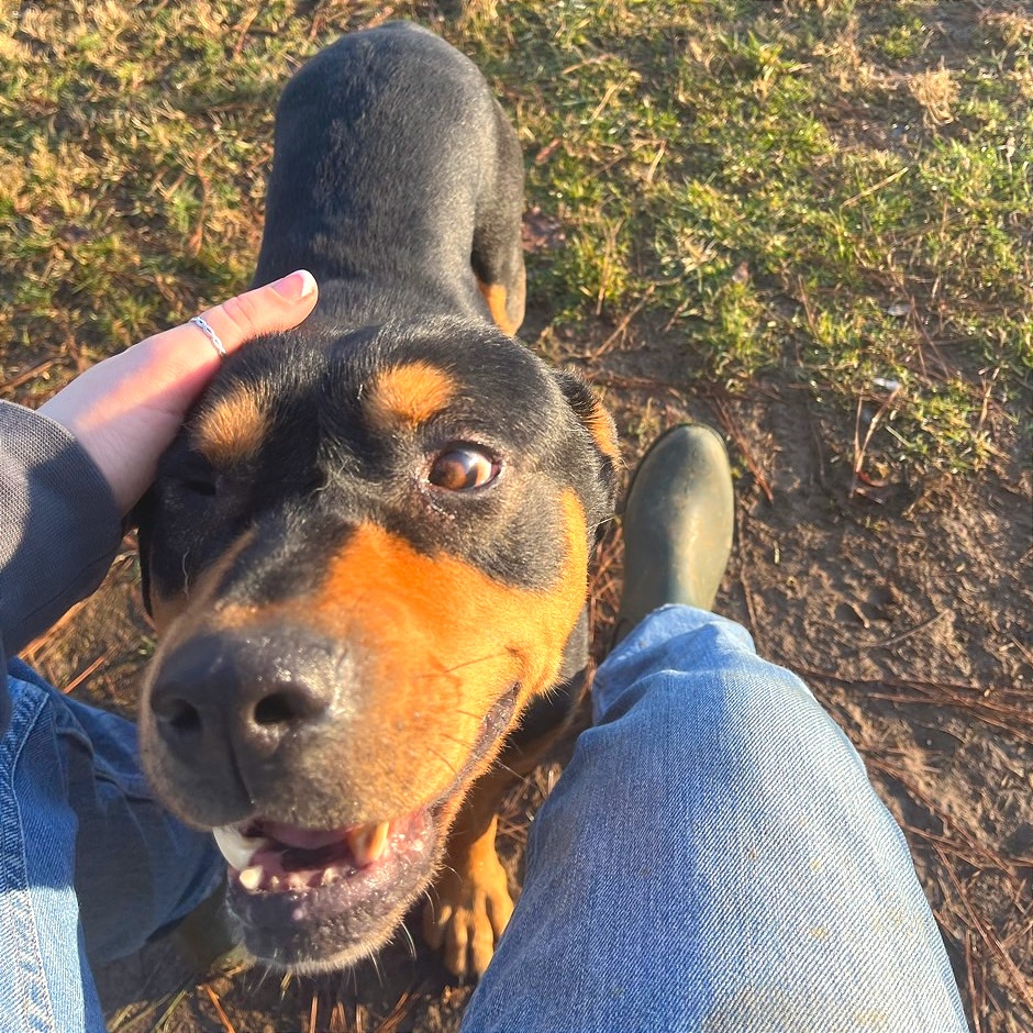 Popeye — thumbnail 10