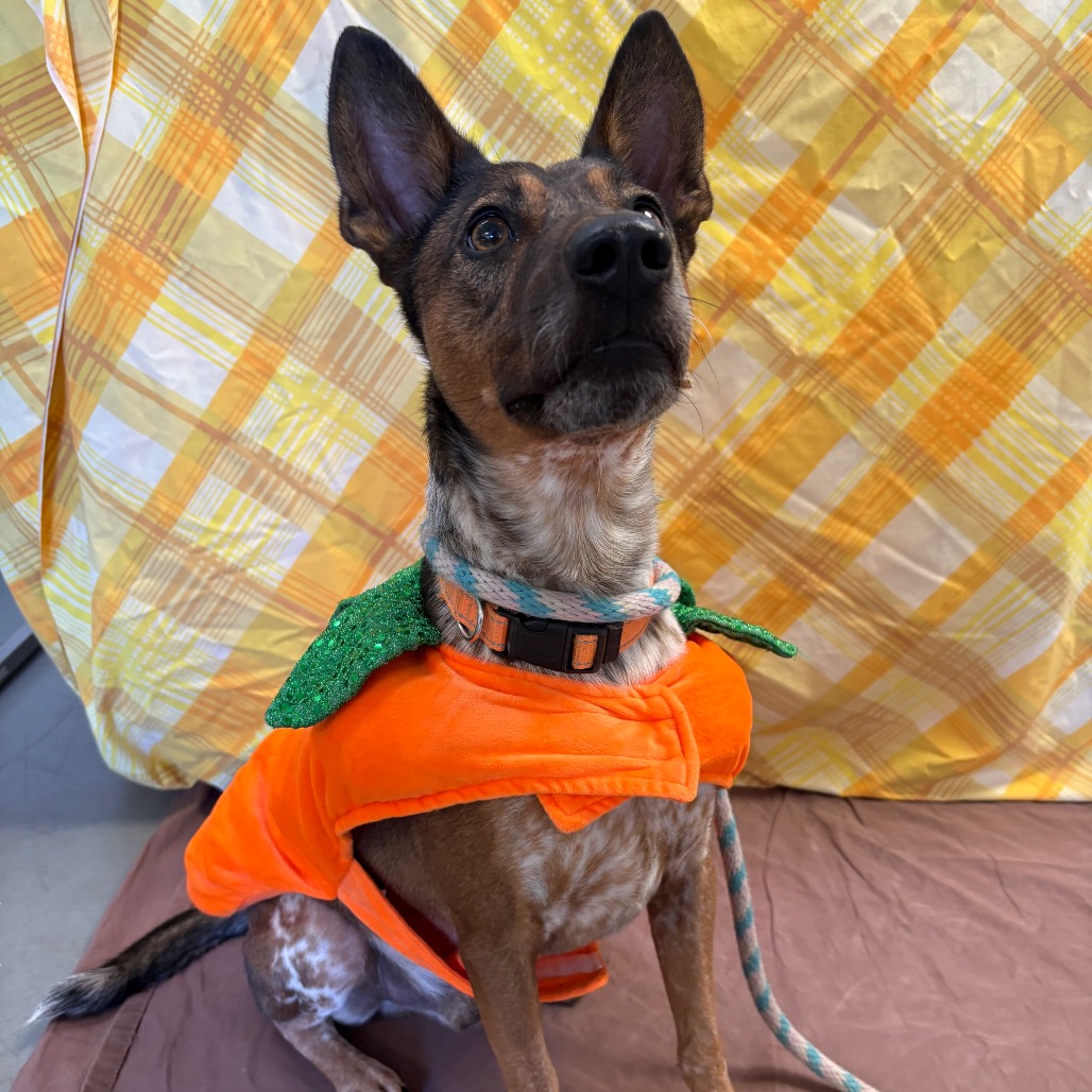 Cash, photo 21