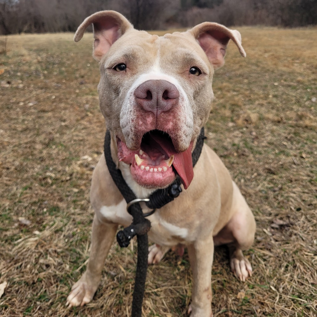 31ebe26ce472ec0f7d661059339a2149