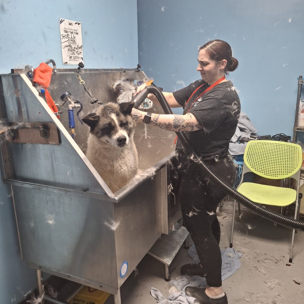 Lebron — thumbnail 5