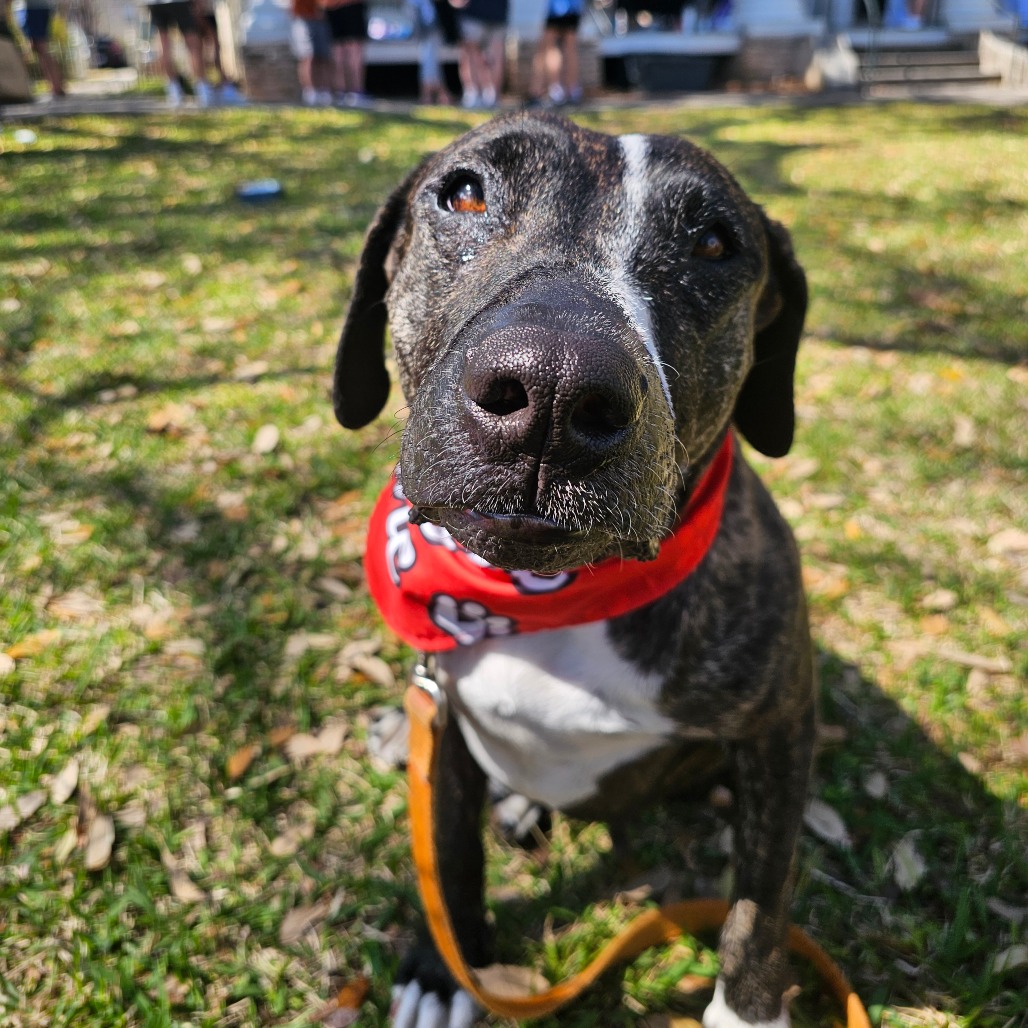 Cookie Cuddles — thumbnail 7