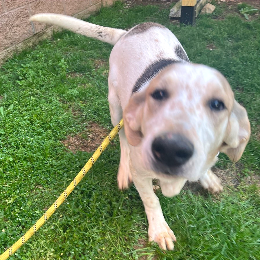 French Toast — thumbnail 9