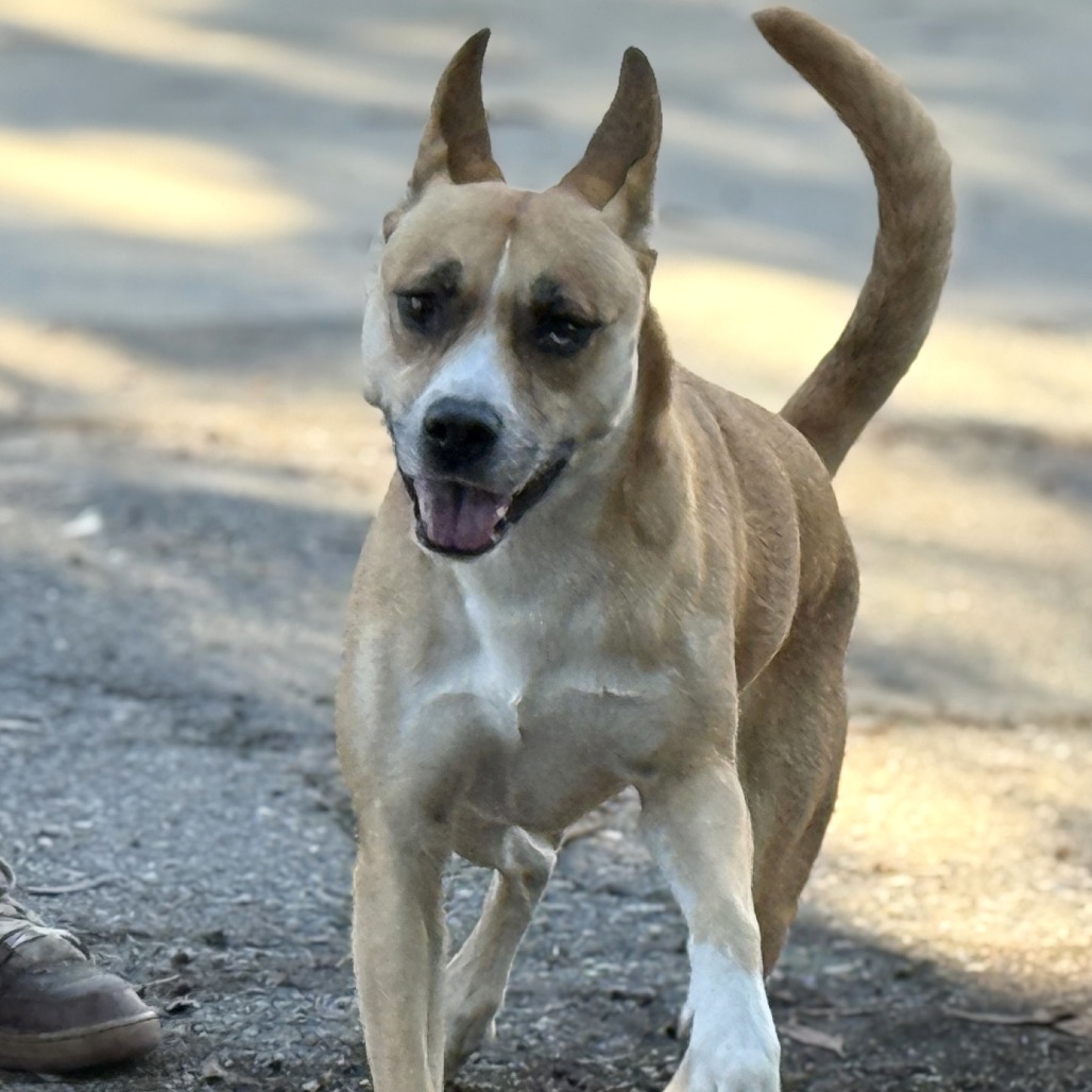 Latto — thumbnail 2