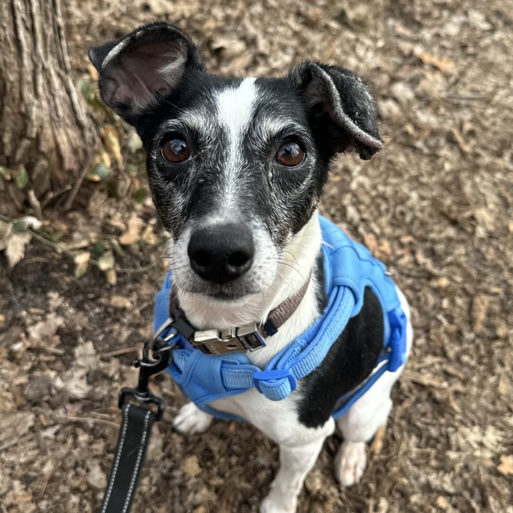 Casey — thumbnail 4