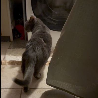 Photo of Kevin 3